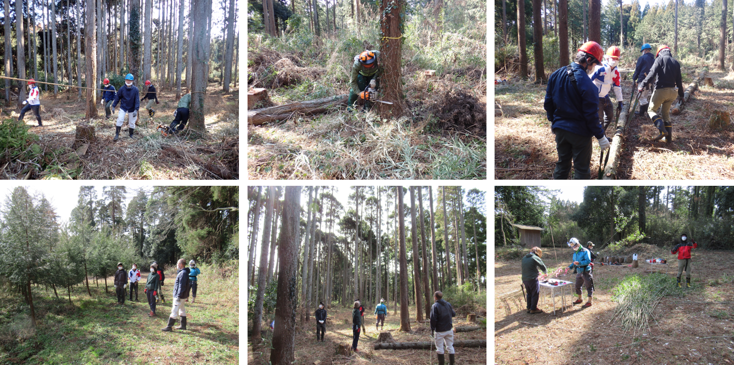 山武の森 ２月の活動報告 千葉県山武市 公益財団法人 Save Earth Foundation Sef